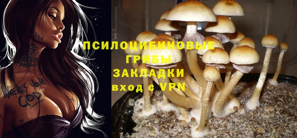 ПСИЛОЦИБИНОВЫЕ ГРИБЫ Верхнеуральск