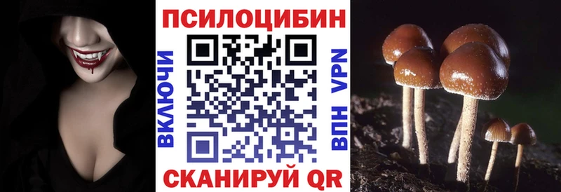 Псилоцибиновые грибы Cubensis  Назрань 